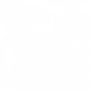 Analytics & Intelligence | ProcureAbility