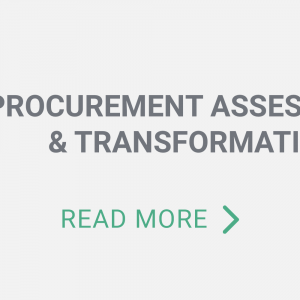 Assessments and Transformations | ProcureAbility