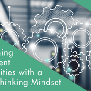 Approaching Procurement Opportunities with a Systems Thinking Mindset