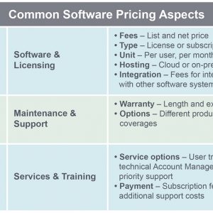Common Software Pricing Aspects
