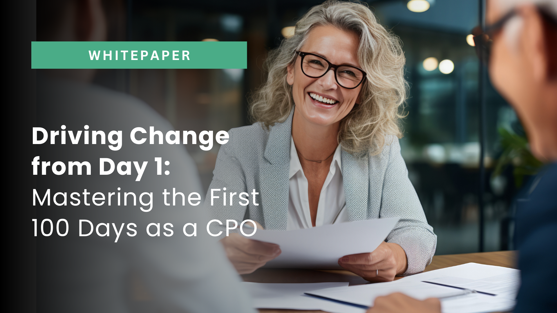 first 100 days as CPO whitepaper procureability first 100 days as cpo